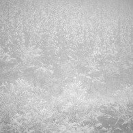 Winterbreath2009-2010_IMG_0004