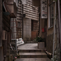 SEDOYA☆