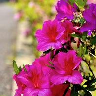 IMG_1173