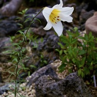 P1040675