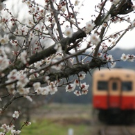 小湊鉄道で一番最初に撮影した画像！