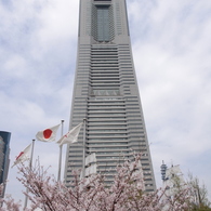 IMGP2812