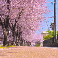 道