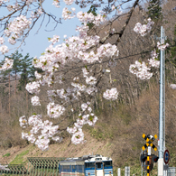 姿を消した鉄路の仲間たち -キハ40系 磐越西線-