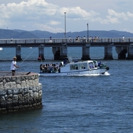 江ノ島海岸　３