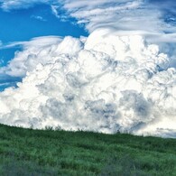 夏雲