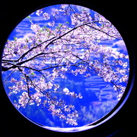 窓