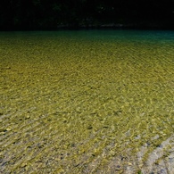 夏の川面