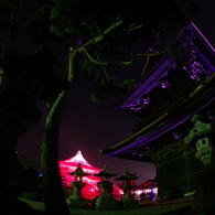 Pageant of the Light