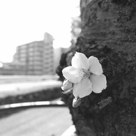 季節が変わる前に