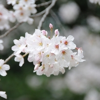 仲良し公園6_R