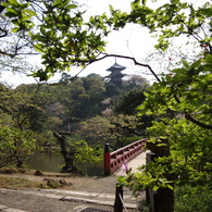 緑と日本庭園