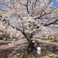 万博記念公園②
