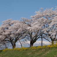 蔵王山