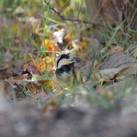 見～つけた！　　DSC_0691