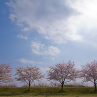 20110410-IMG_0159