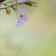 20110416-IMG_0027