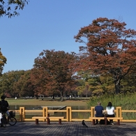 晩秋公園　３