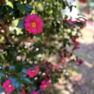 IMG_3456