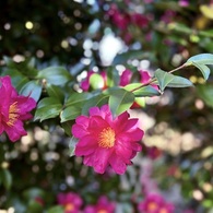 IMG_3448