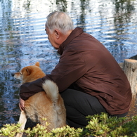 柴犬と老人