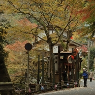 貴船の秋