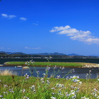 宍道湖