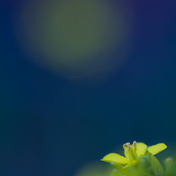 20110306-IMG_0061