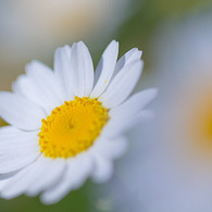 20110319-IMG_0009