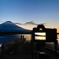 久々の朝撮り