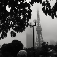 雨の日の東京タワー