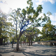 京都