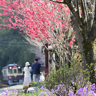 上神梅駅③