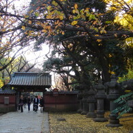 DSC01742