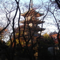 DSC01722