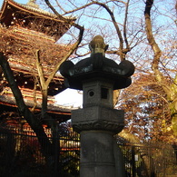 DSC01725