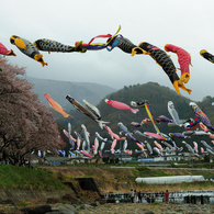 高瀬川