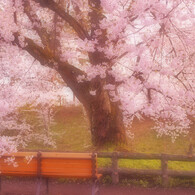 It will be there ･･･.