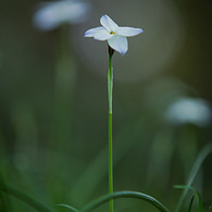 20110416-IMG_0083