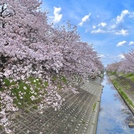 IMG_4160
