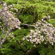 P1070352