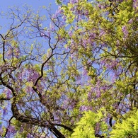 P1070801