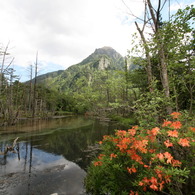 奥山の清流