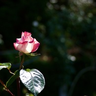 P1080379