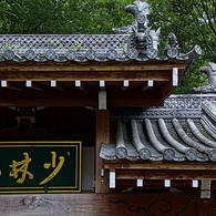 少林山達磨寺総門