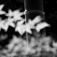 P1080693