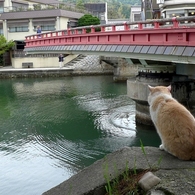 回る橋の住人。