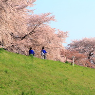 朝練へ