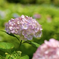 P1080919