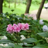 P1090272